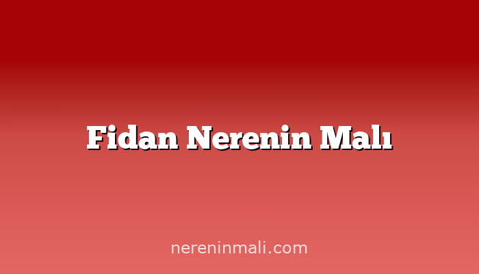 Fidan Nerenin Malı