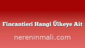 Fincantieri Hangi Ülkeye Ait