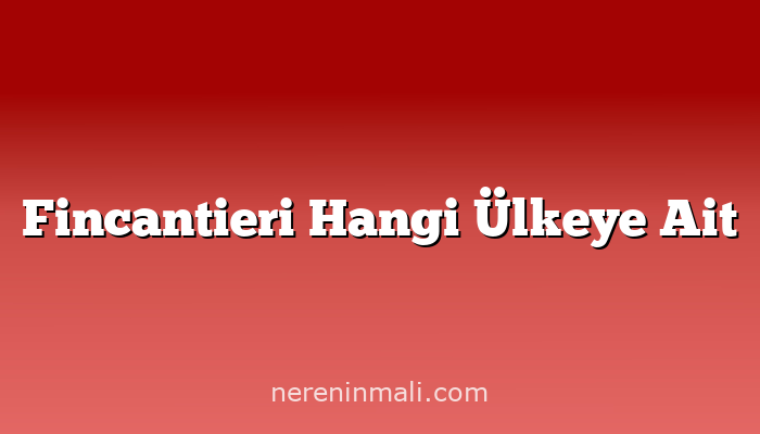 Fincantieri Hangi Ülkeye Ait