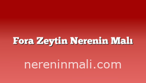 Fora Zeytin Nerenin Malı