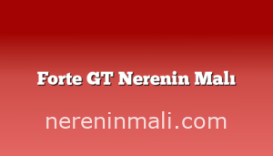 Forte GT Nerenin Malı