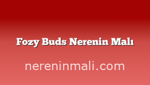 Fozy Buds Nerenin Malı