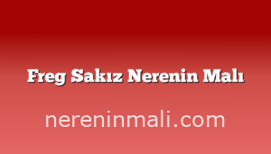 Freg Sakız Nerenin Malı