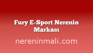 Fury E-Sport Nerenin Markası