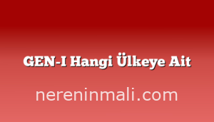 GEN-I Hangi Ülkeye Ait