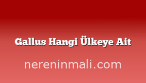 Gallus Hangi Ülkeye Ait