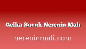 Gelka Sucuk Nerenin Malı