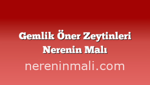 Gemlik Öner Zeytinleri Nerenin Malı