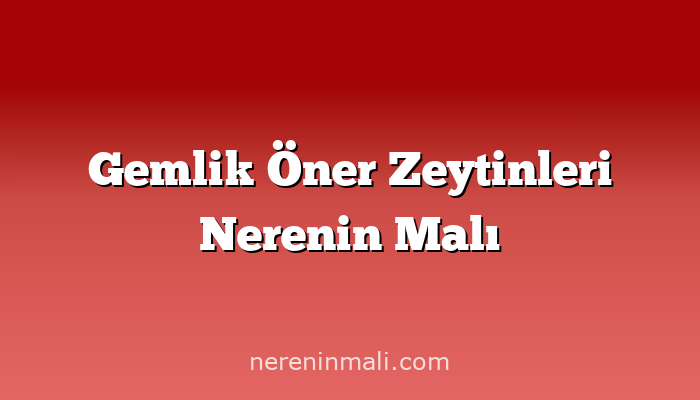 Gemlik Öner Zeytinleri Nerenin Malı