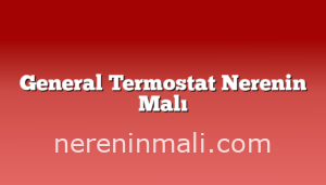 General Termostat Nerenin Malı