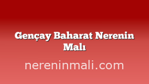 Gençay Baharat Nerenin Malı