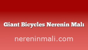 Giant Bicycles Nerenin Malı