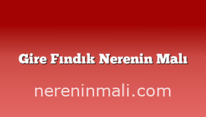 Gire Fındık Nerenin Malı