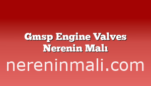 Gmsp Engine Valves Nerenin Malı