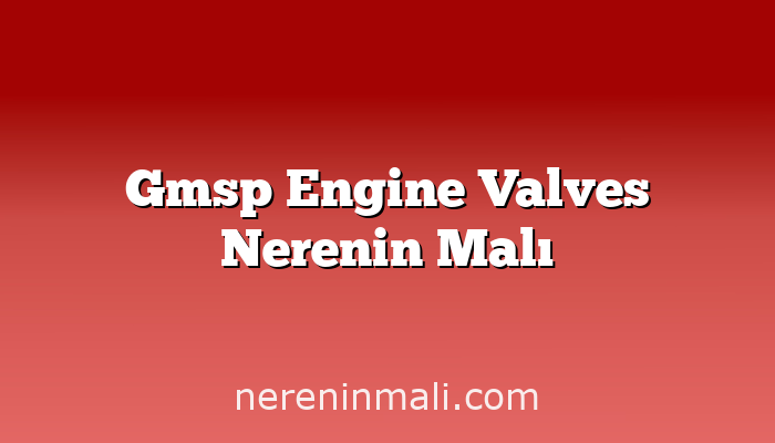 Gmsp Engine Valves Nerenin Malı