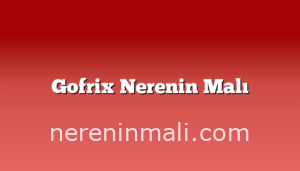 Gofrix Nerenin Malı