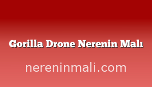 Gorilla Drone Nerenin Malı