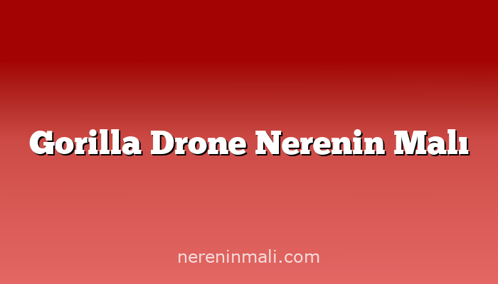 Gorilla Drone Nerenin Malı