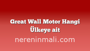 Great Wall Motor Hangi Ülkeye ait