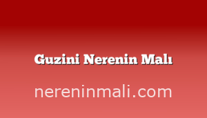 Guzini Nerenin Malı