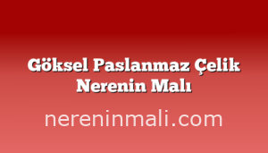 Göksel Paslanmaz Çelik Nerenin Malı