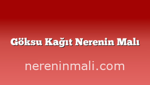 Göksu Kağıt Nerenin Malı