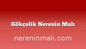 Gökçelik Nerenin Malı