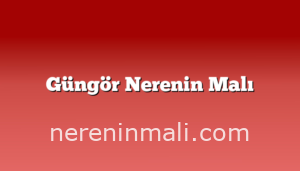 Güngör Nerenin Malı