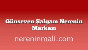 Günseven Şalgam Nerenin Markası