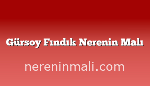 Gürsoy Fındık Nerenin Malı