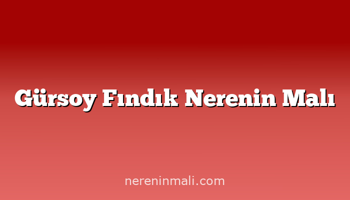 Gürsoy Fındık Nerenin Malı