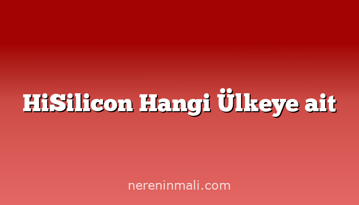 HiSilicon Hangi Ülkeye ait