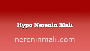 Hypo Nerenin Malı