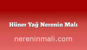 Hüner Yağ Nerenin Malı