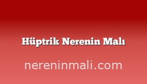 Hüptrik Nerenin Malı