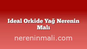 Ideal Orkide Yağ Nerenin Malı