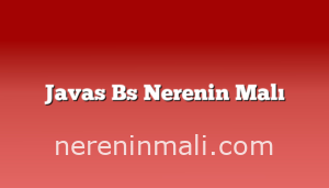 Javas Bs Nerenin Malı