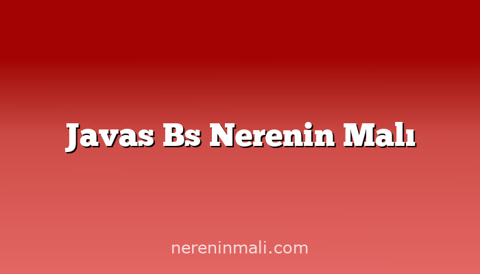 Javas Bs Nerenin Malı