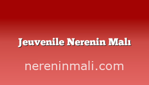 Jeuvenile Nerenin Malı