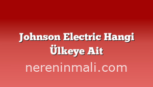 Johnson Electric Hangi Ülkeye Ait