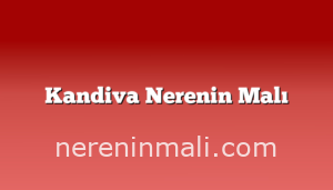 Kandiva Nerenin Malı