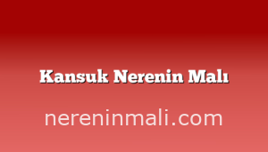 Kansuk Nerenin Malı