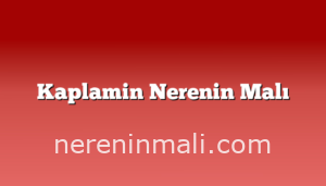 Kaplamin Nerenin Malı