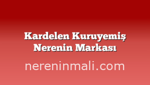 Kardelen Kuruyemiş Nerenin Markası