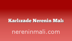 Karlızade Nerenin Malı