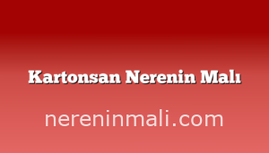 Kartonsan Nerenin Malı