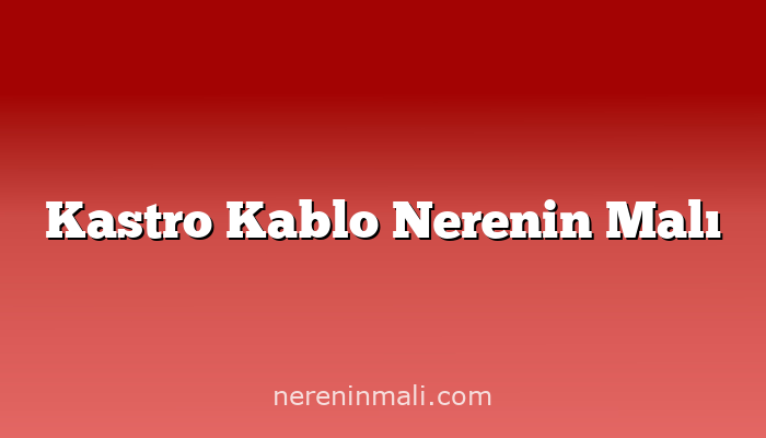 Kastro Kablo Nerenin Malı