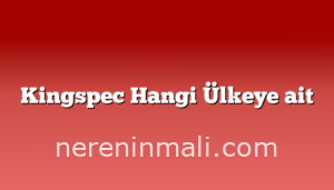 Kingspec Hangi Ülkeye ait