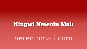 Kingwi Nerenin Malı