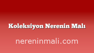 Koleksiyon Nerenin Malı